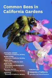 California has a diverse bee population. Buy Common Bees In California Gardens Book Online At Low Prices In India Common Bees In California Gardens Reviews Ratings Amazon In