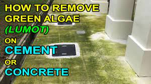 remove green algae lumot on cement
