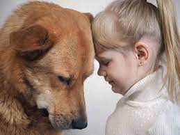 dog help children cope with loss