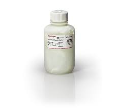 invitrogen cell lysis buffer ii 100ml