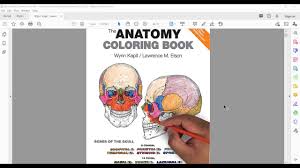 The page quality is really good for using any. The Anatomy Coloring Book By Wynn Kapit Lawrence M Elson Youtube