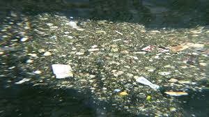 water pollution full hd 1080p stock