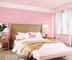 Party Pink 8121 House Wall Painting