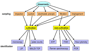 Flow Chart Indicating Selected Examples Of Fungal And