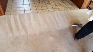 carpet cleaning services in venice fl
