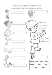 Your body is a brilliant machine with many important parts. Parts Of The Body Esl Worksheet By Allebram