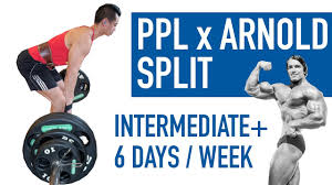push pull legs x arnold split workout