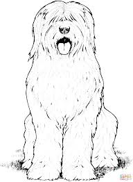 All coloring pages » cartoon » the secret life of pets » tiny the cute basset hound. Old English Sheepdog Coloring Page Supercoloring Com Dog Coloring Page Hairy Dog Old English Sheepdog