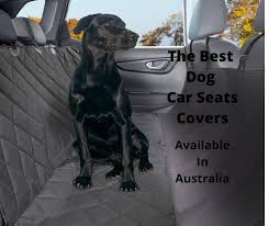 Helping Guide Australian Dog Owners