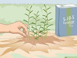3 ways to fertilize herbs wikihow life