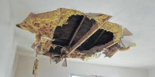 Can A Leaking Ceiling Collapse All