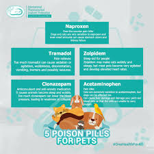When you are ready to choose the right vet for you and your pets, look to the apcc. Ipsf Apro On Twitter There Are Many Medications That Can Be Used For Both Animals And People But The Outcomes Aren T Always The Same Here Are 5 Examples Of The Most Common