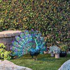 outdoor metallic peacock tail
