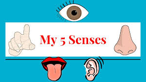 All About Me Your 5 Senses & Body Parts - ppt download