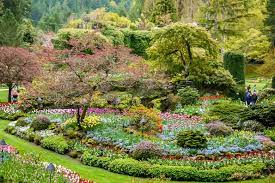 an april visit to the butchart gardens