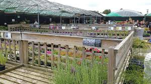 mill race garden centre in copford