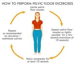 physio 4u exercise your pelvic floor