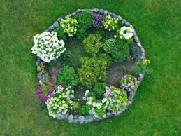 planting a circular flower bed