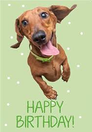 Free 30 day ecard trial. Valentine Card Design Happy Birthday Sausage Dog Card