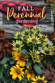Fall Perennial Gardening Garden Design