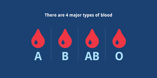 Blood Types New York Blood Center