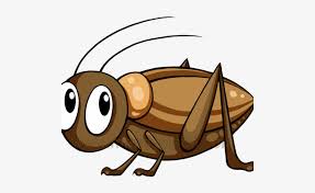 Cricket, (family gryllidae), any of approximately 2,400 species of leaping insects (order orthoptera) that are worldwide in distribution and known for the musical chirping of the male. Brown Cricket Insect Brown Cricket Insect Clipart Png Image Transparent Png Free Download On Seekpng