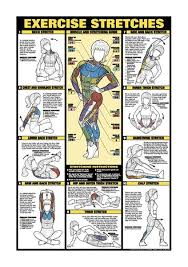 Exercise Stretch Chart With 10 Stretches For Various Muscles