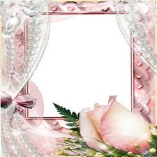 frame flowers rose n curtain pink