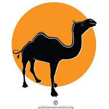 Between the combination of the anatomy and absolutely wonderful conditions, the shape is supposed to look like the looking for more camel toe? Pin On Animals Vectors Public Domain