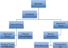 The Organizational Structure Of The Centre Download