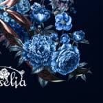 Remix roselia r but it released in 1985 dl in description mp3. Home Download Mp3 Roselia R Ep Album Download Crafter Depot