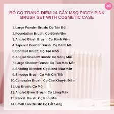 msq piggy pink brush set with cosmetic