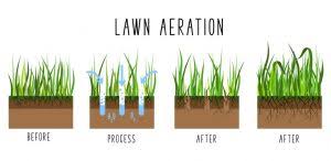 Determining how often to water, how long it takes to water, and when to water the lawn, are questions that can only be answered when you take grass species, weather, and soil into consideration. Signs Your Lawn May Need Aerating Weed Control Lawn Care I Calgary Red Deer I Earth Smart