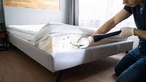 Remove Bed Bug Stains From Your Mattress