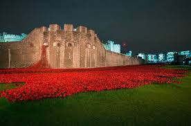 the tower of london for remembrance day
