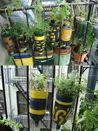 Diy Plastic Bottle Herb Hanging Garden