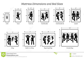 Welche matratzengrößen eignen sich für wen? Matratzen Masse Und Bett Grossen Vektor Abbildung Illustration Von Unten Bett 111383957