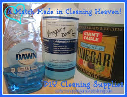 Cleaning Dream Team Vinegar And Dawn