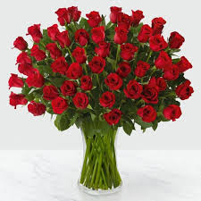 Red Roses (50 Stems) - Interflora
