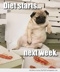 We know why people come to our site, especially in this post, which is about funny dog memes. Cute Fat Puppy With Quotes Quotesgram