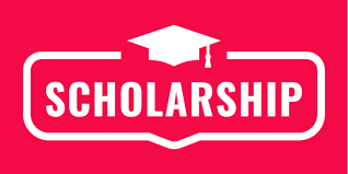scholarships-usage