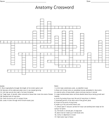 The shiny, articulating cartilage on the ends of a bone. Anatomy Crossword Wordmint