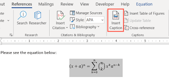 Label Equations In Microsoft Word