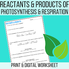 Photosynthesis And Respiration