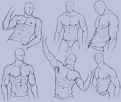 Anatomy drawing of male figure. Pin On How To Draw Body