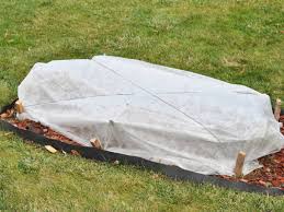 protecting plants with garden row covers