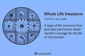 Whole Life Assurance Policy gambar png