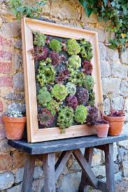 diy succulent wall planter living