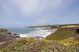 12 best california beach cgrounds