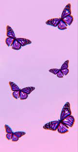A mystical shade of purple flowers on a beautiful flower can completely change the look and appeal of your home, garden, bouquet, wallpaper and even wedding. Purple Butterfly Wallpaper For Iphone Instagram Purple Butterfly Wallpaper Butterfly Wallpaper Purple Wallpaper